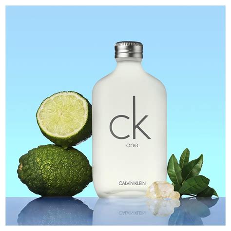 calvin klein cologne chemist warehouse|calvin klein ck one.